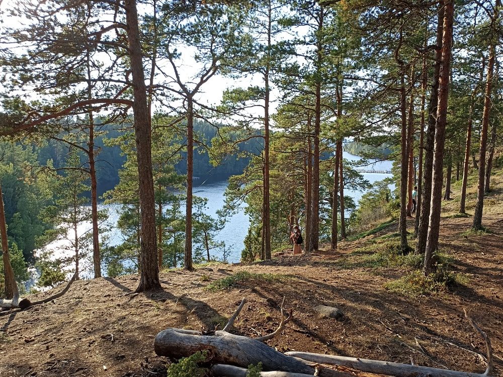 Photograph by Татьяна Смирнова