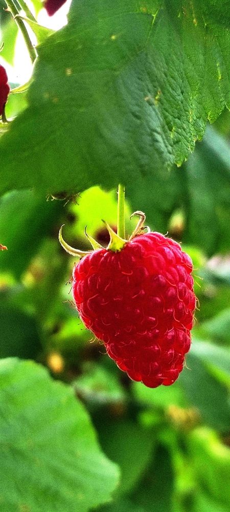 Photograph by Анна Маскалик