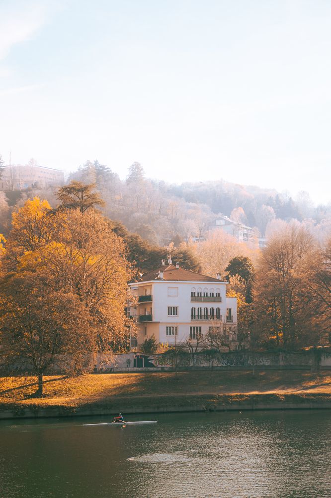 Photograph by Ali Lari