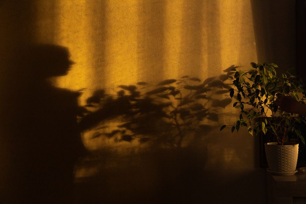 Photograph by Улитко Анастасия