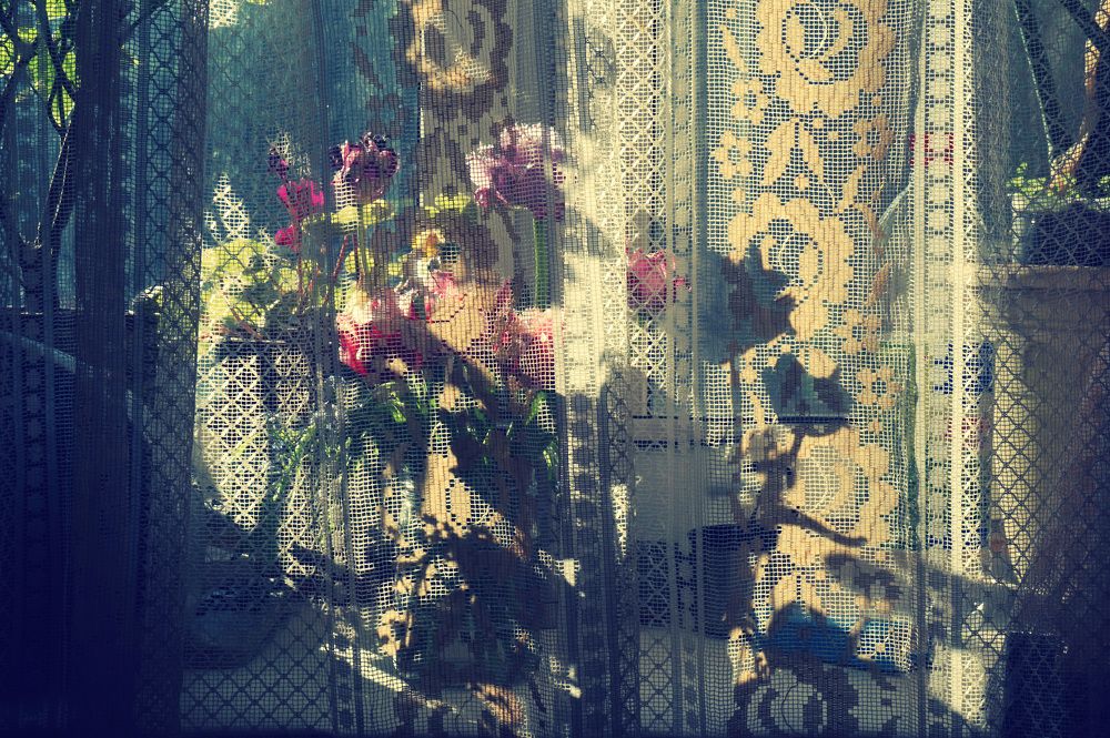 Photograph by Лена Максимкина