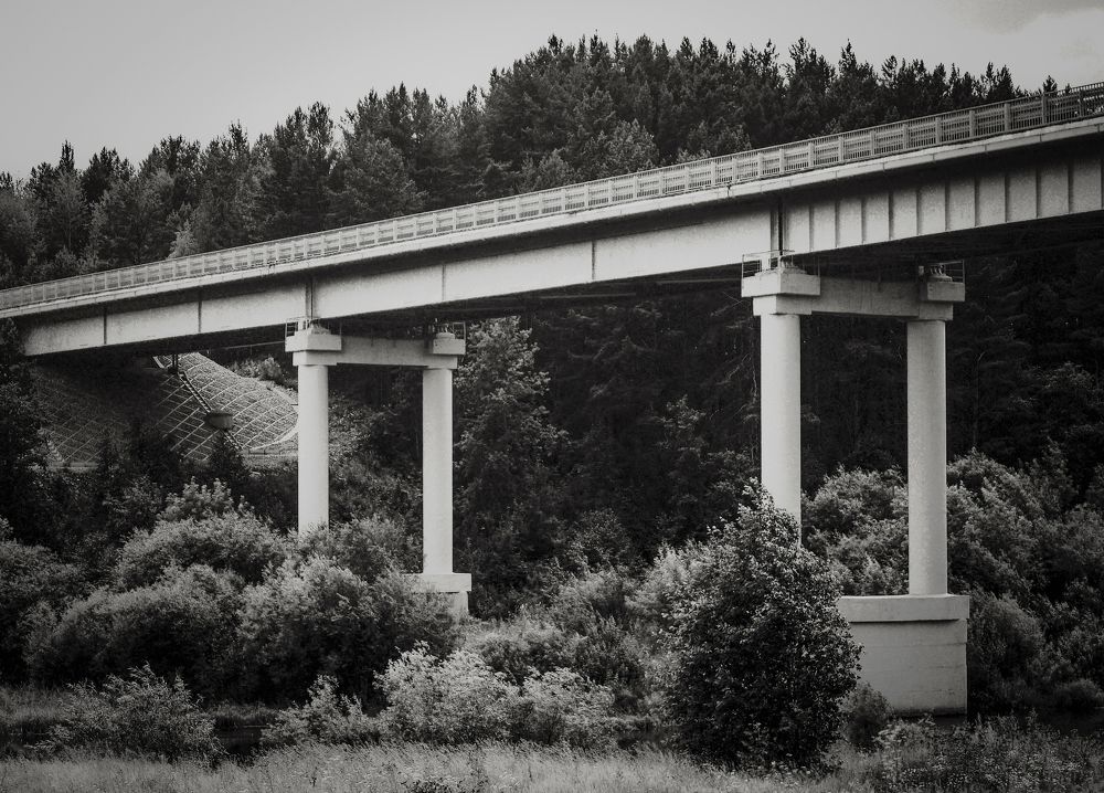 Photograph by Баженова Наталья