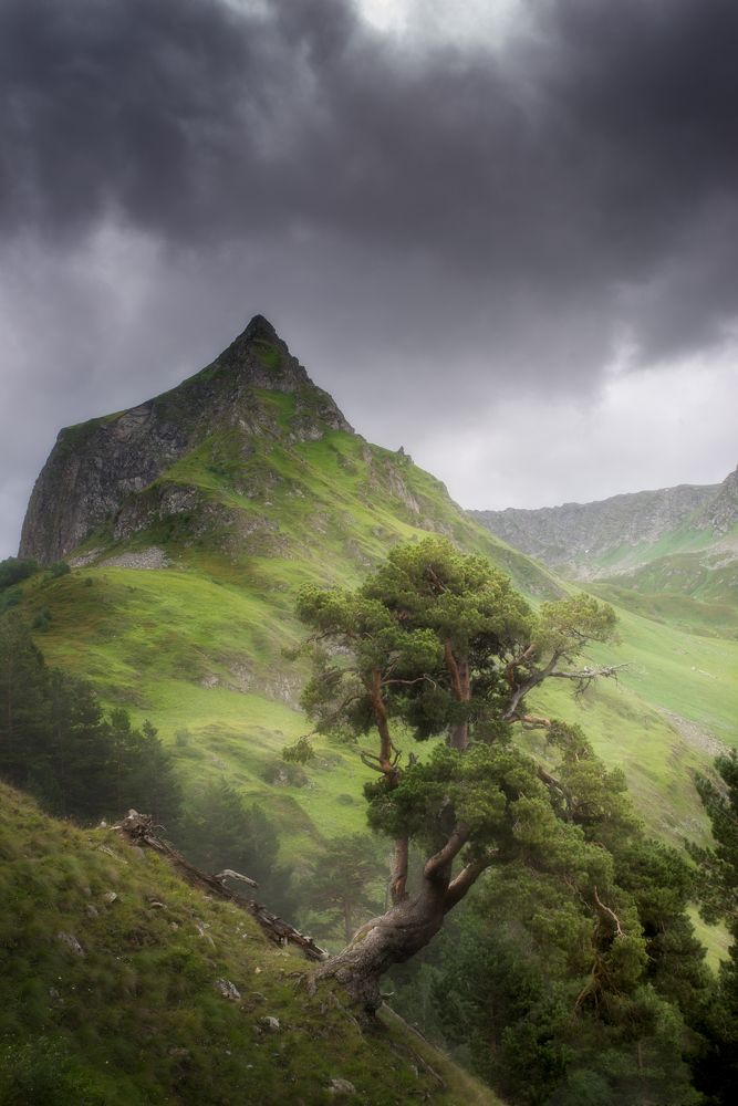 Photograph by Alexander Ornatskiy