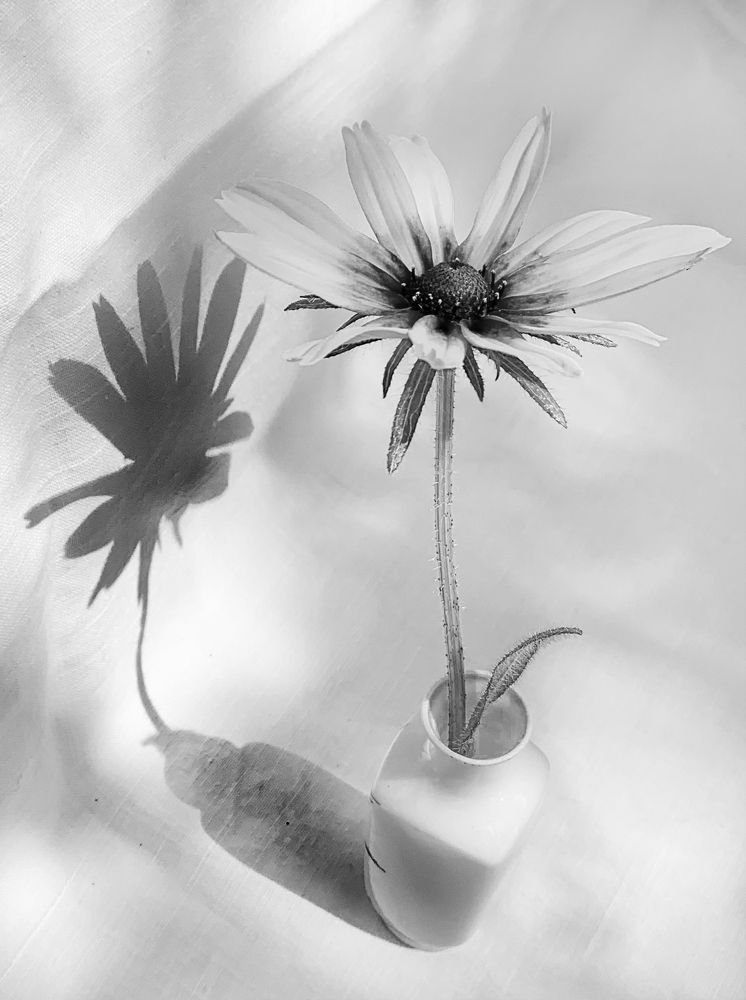 Photograph by Ионова Татьяна