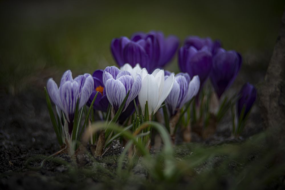 Photograph by Алексей Мякота