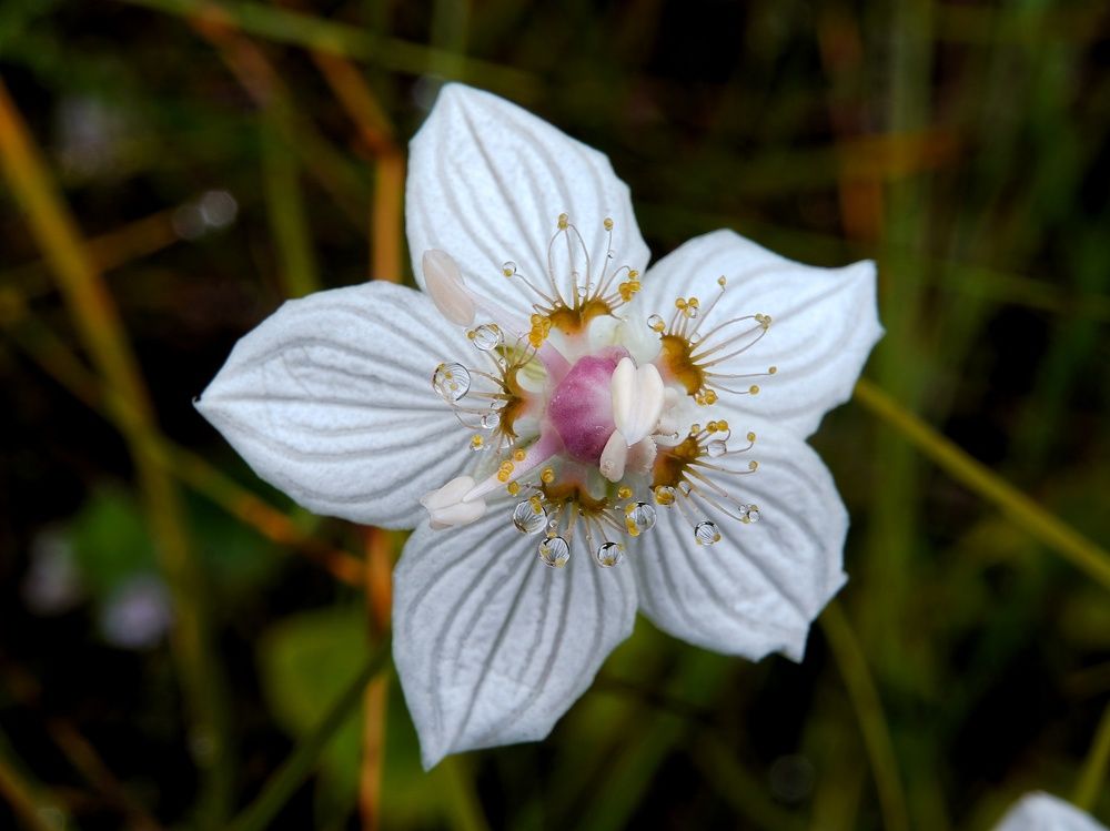 Photograph by Alexandr Klyuev