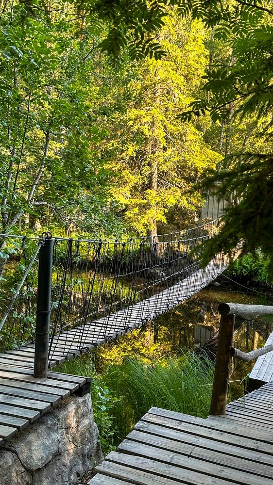 Photograph by Svetlana Kovalchuk