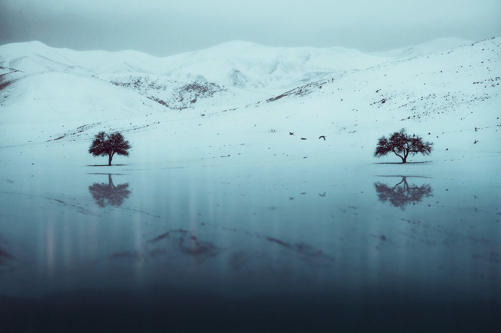 Photograph by Farzad Ajori