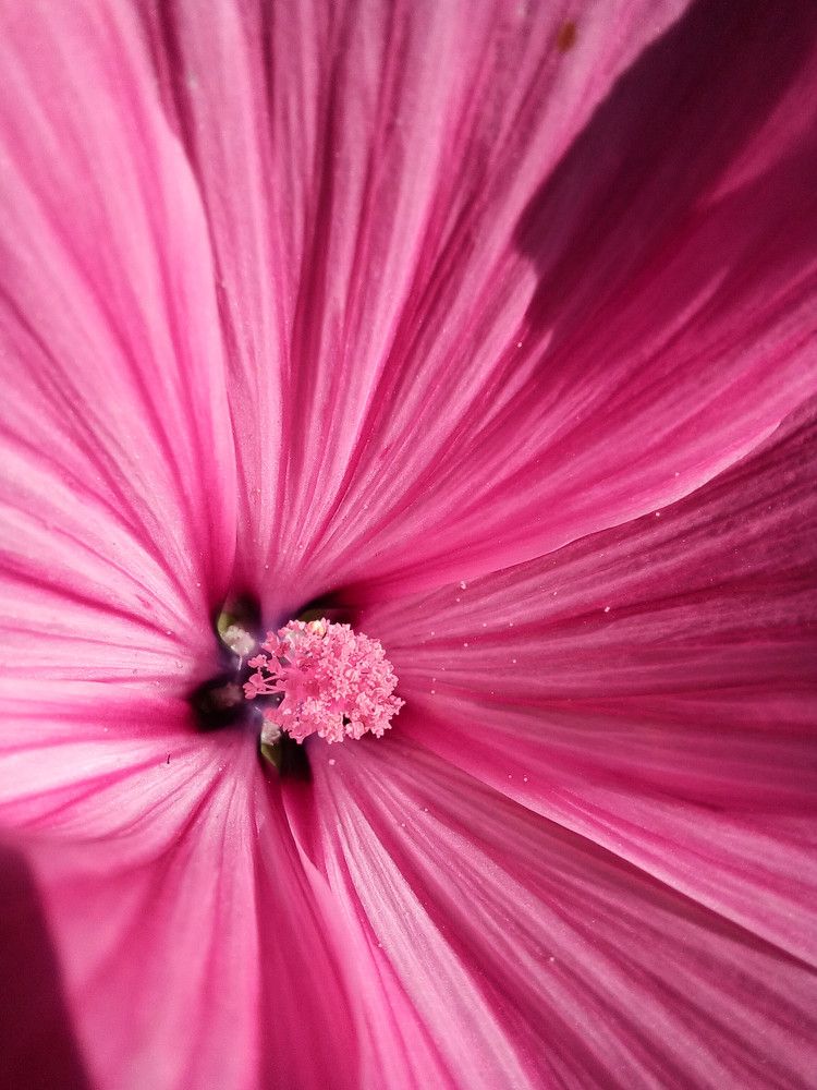 Photograph by Anna Grinkevich