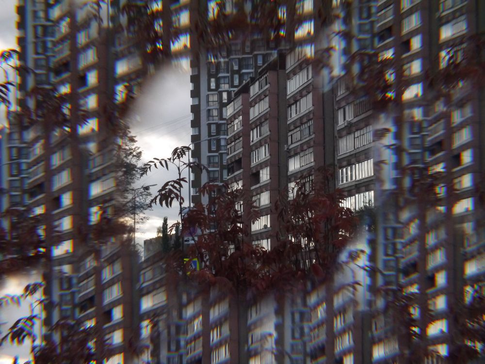 Photograph by Баженова Наталья