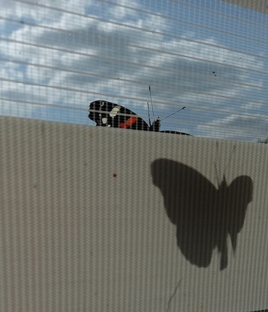 Фотография автора Марина Новикова