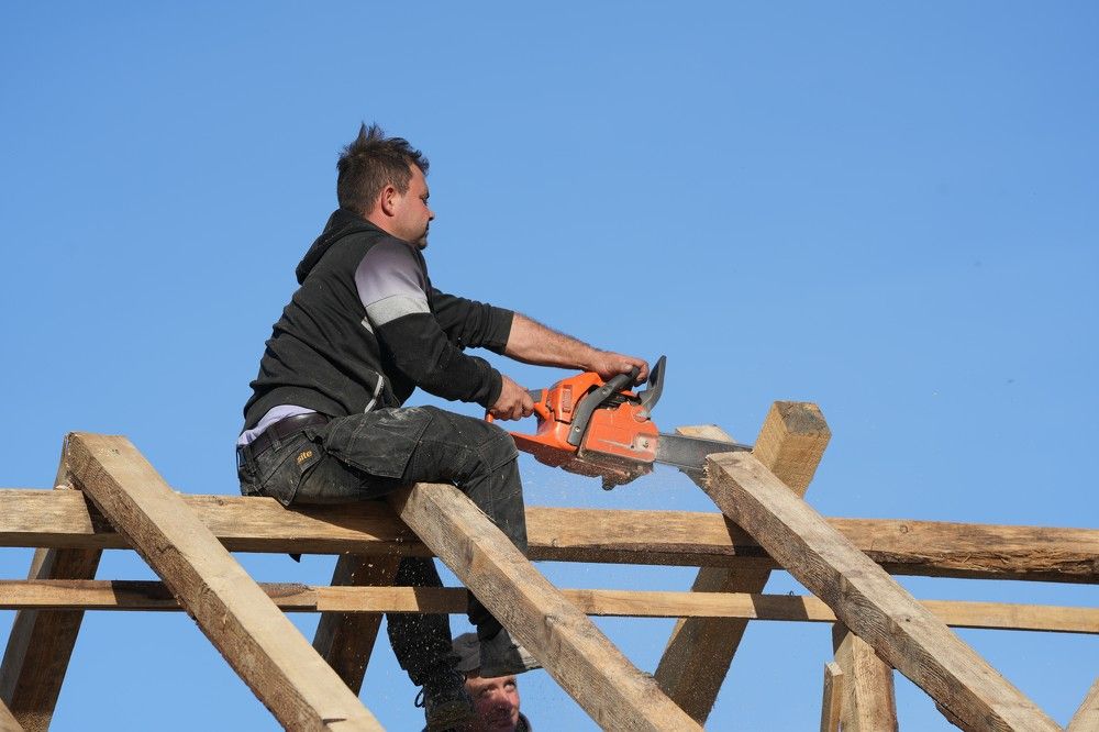 Фотография автора OVIDIU-IOAN TICU