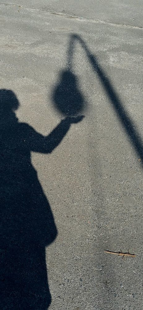 Фотография автора Марина Новикова