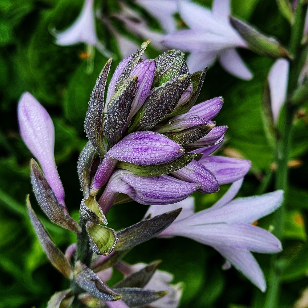 Фотография автора Татьяна