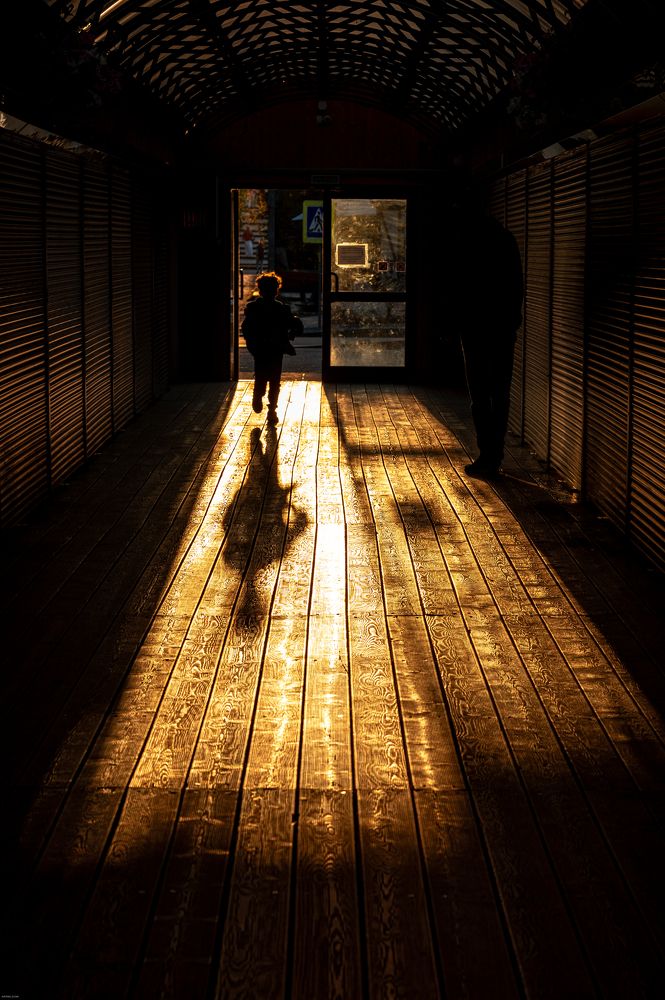 Фотография автора Елена Аверина