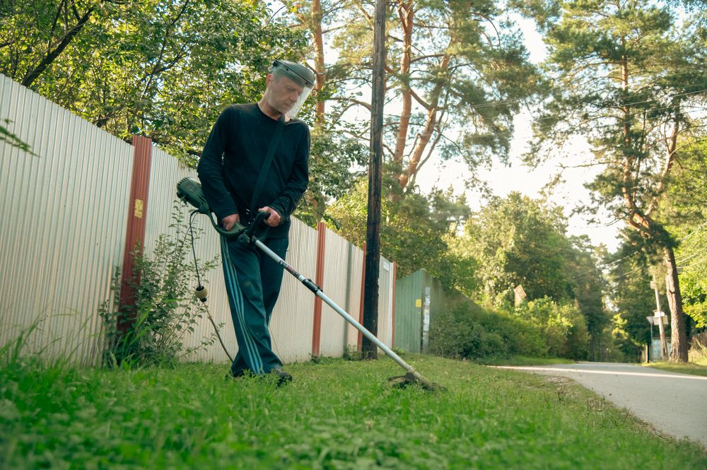 Фотография автора АНАСТАСИЯ ЛЕВИНА