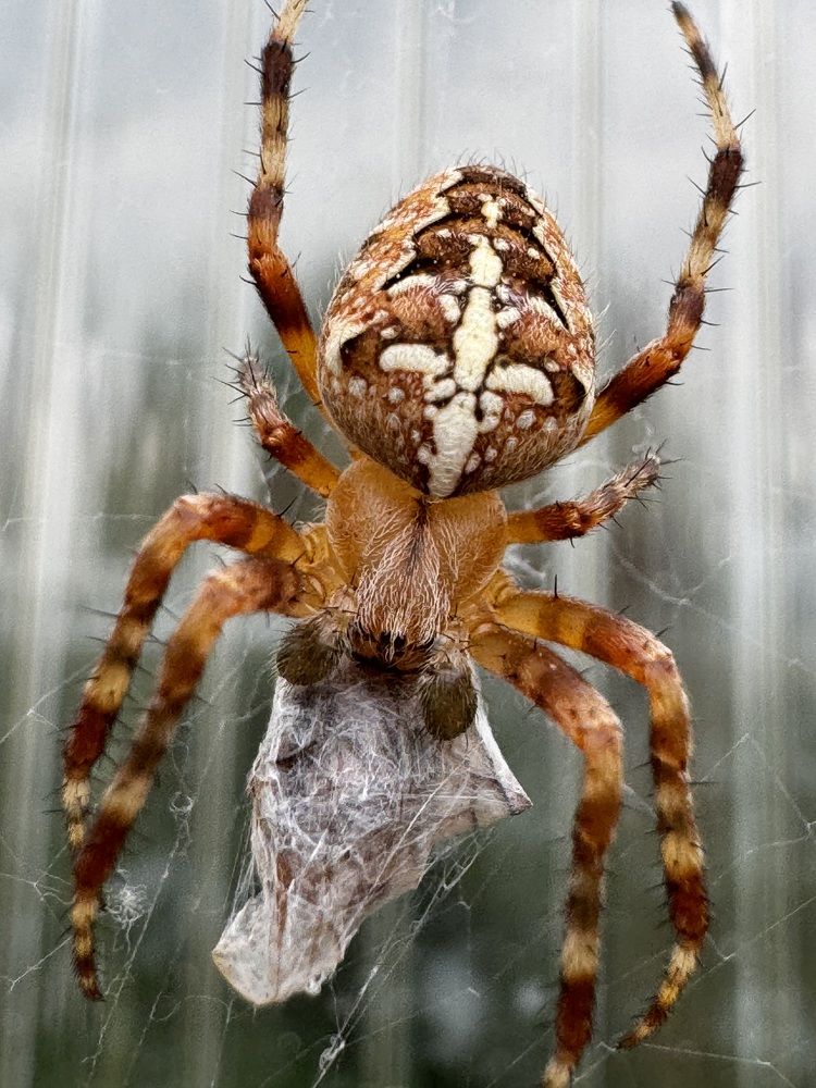 Photograph by Zhanna Kolesnikova