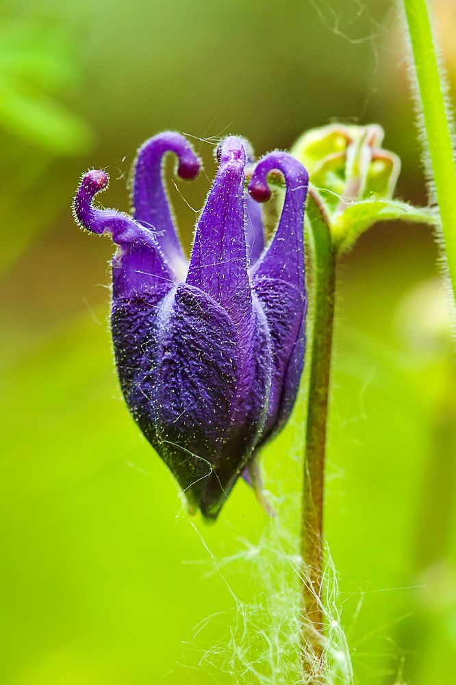 Photograph by Aleksei Kazakov