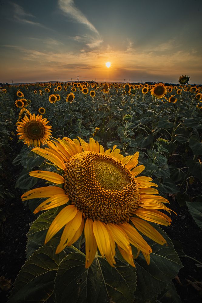 Photograph by Филипп Бабенко