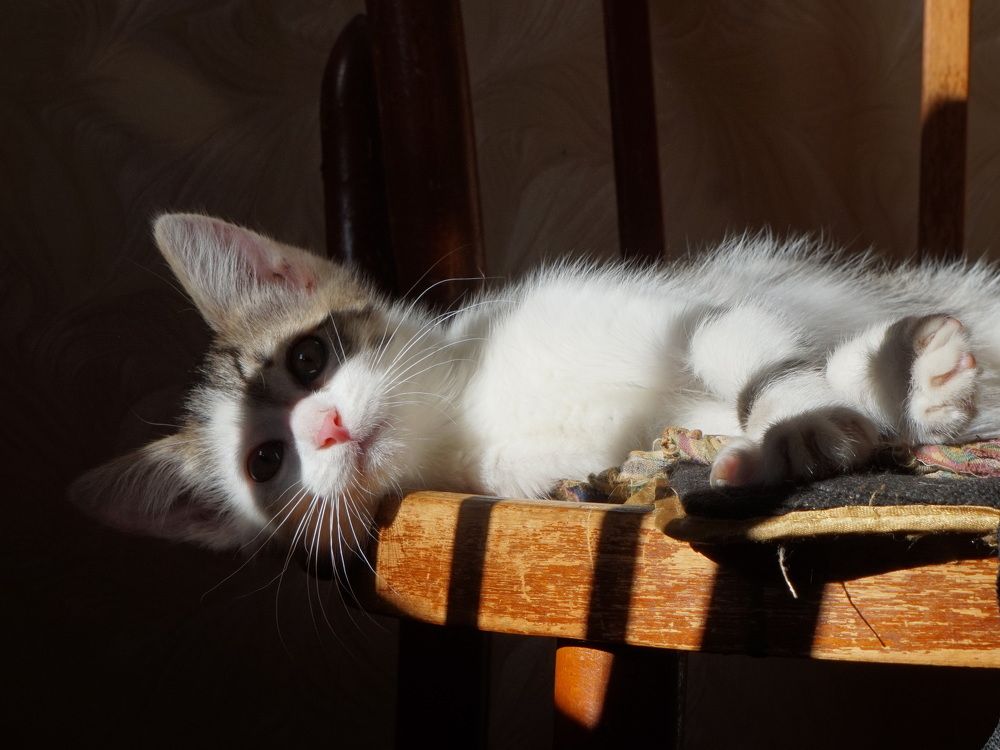 Photograph by Лена Максимкина