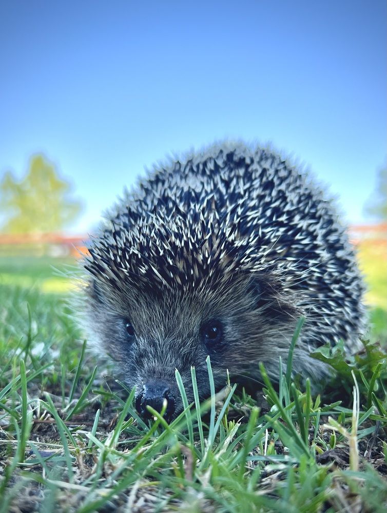 Photograph by Татьяна Михайловна