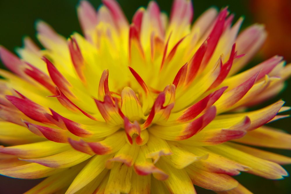 Photograph by Андрей Митькин