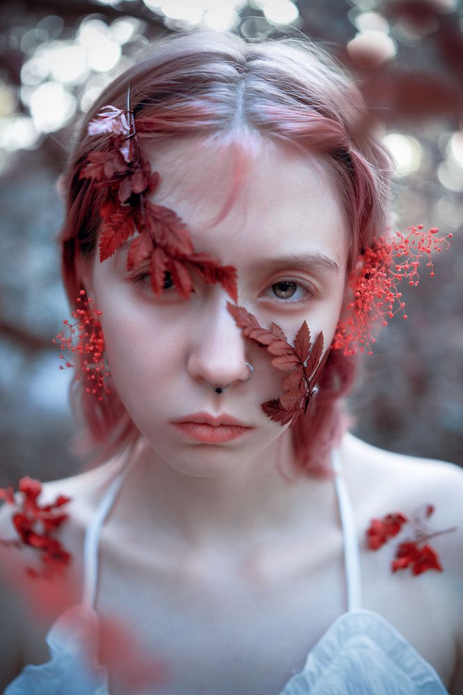 Фотография автора Ангелина