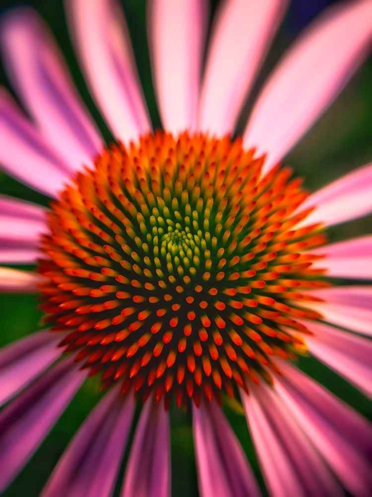 Photograph by Ekaterina Fadeeva