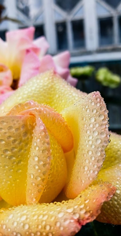 Фотография автора Джаф