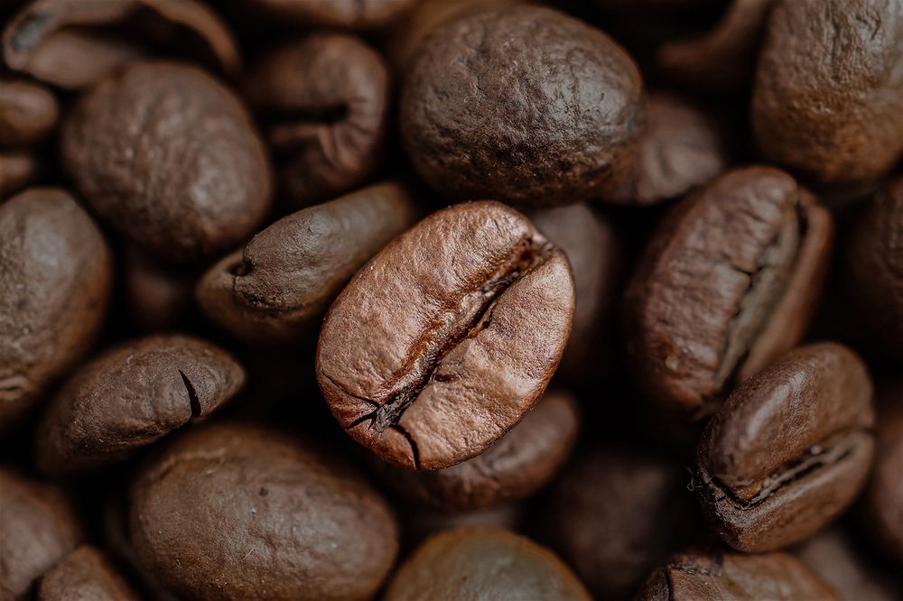 Фотография автора Светлана Рыжих