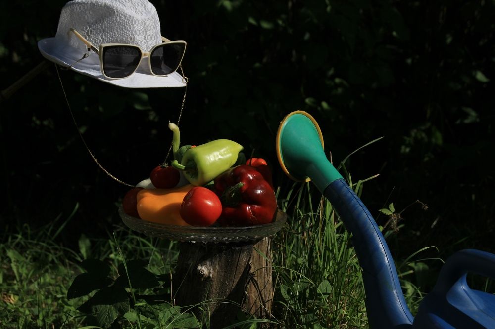 Фотография автора Светлана Терехова