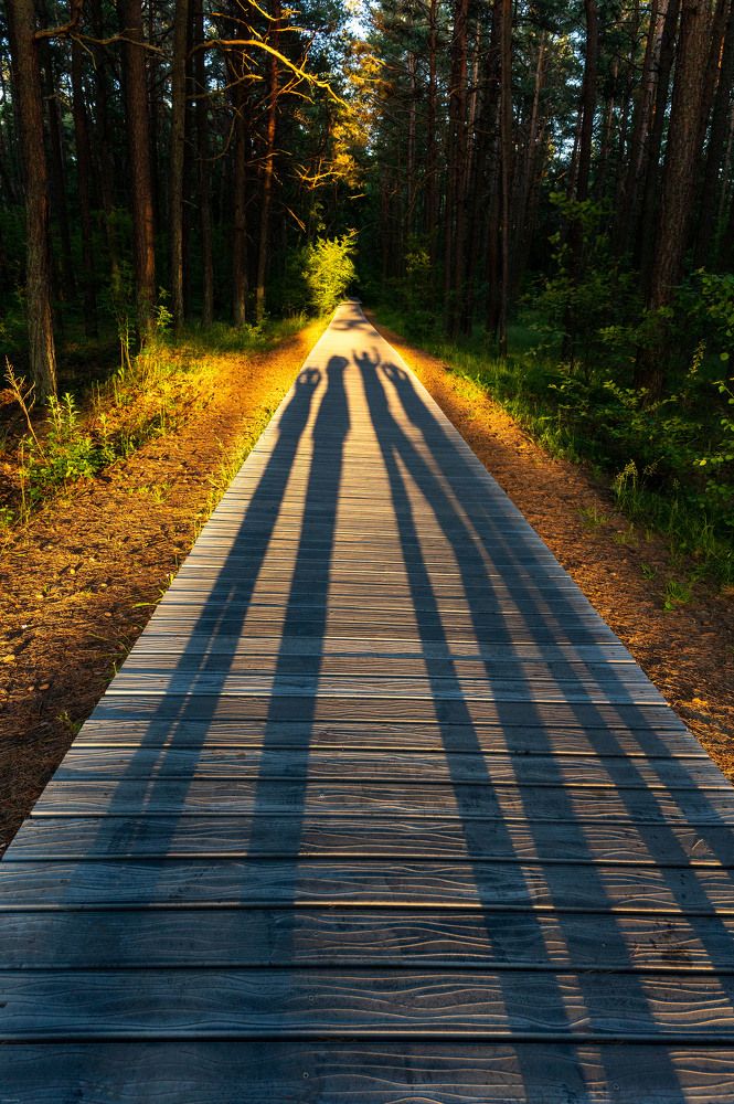 Photograph by Елена Аверина