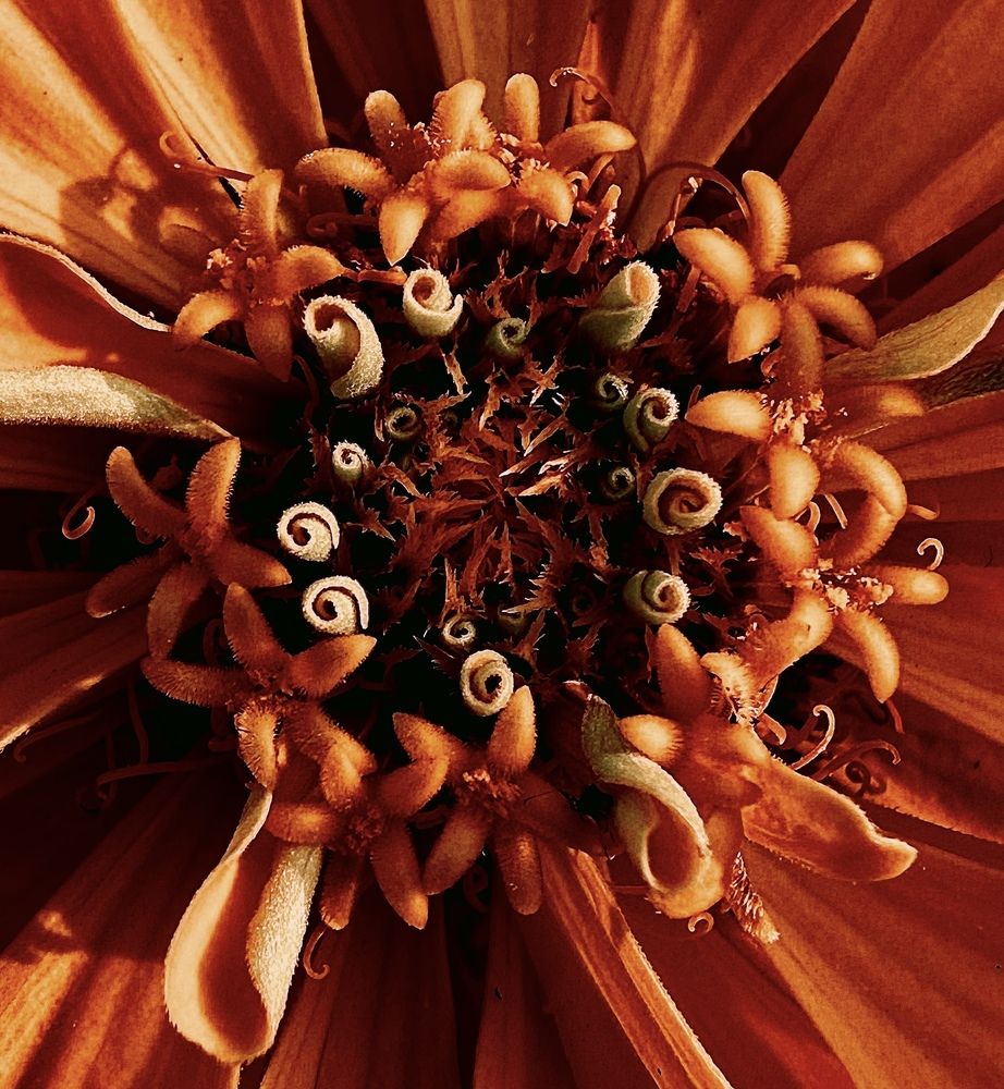 Photograph by Гуляева Светлана