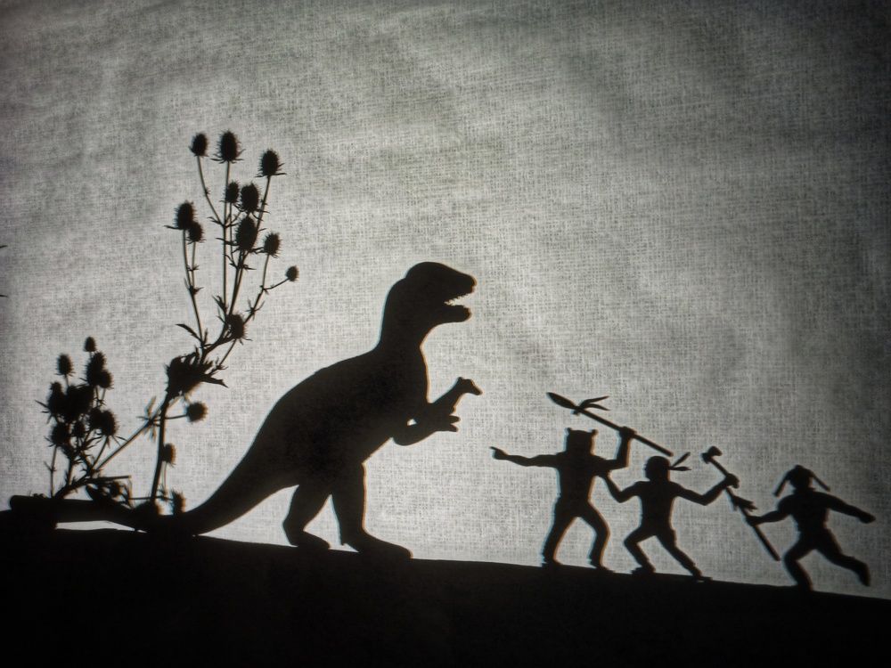 Photograph by Новикова Елена Сергеевна