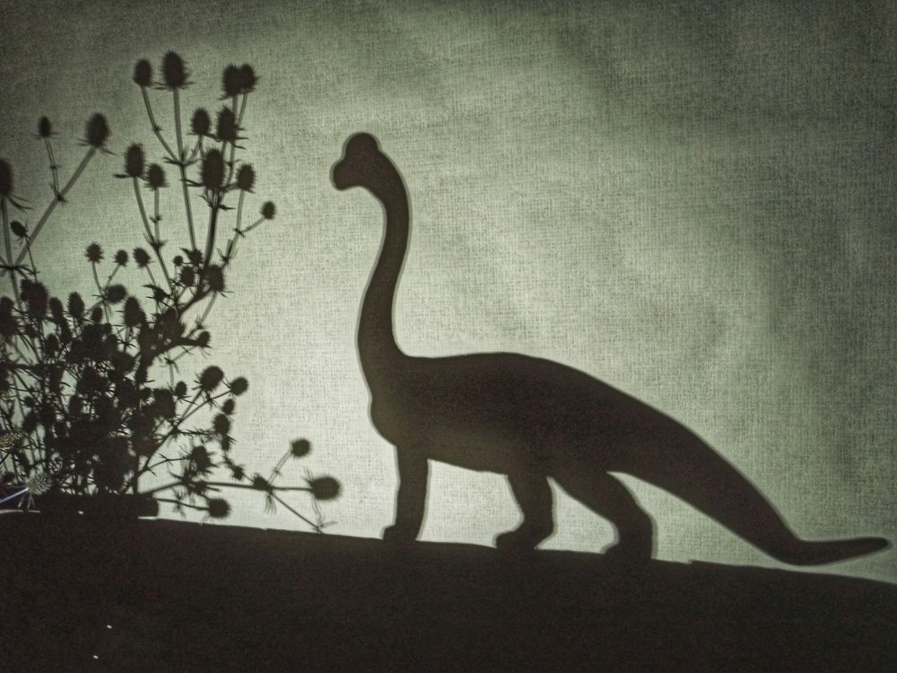 Photograph by Новикова Елена Сергеевна