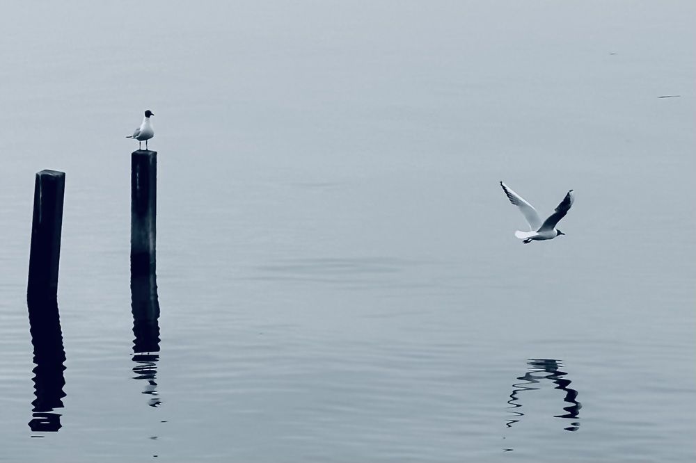 Photograph by Рина Серёгина