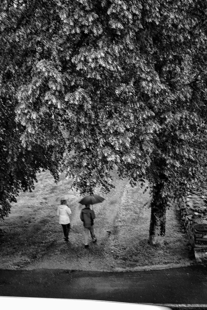 Photograph by Ольга Кудина