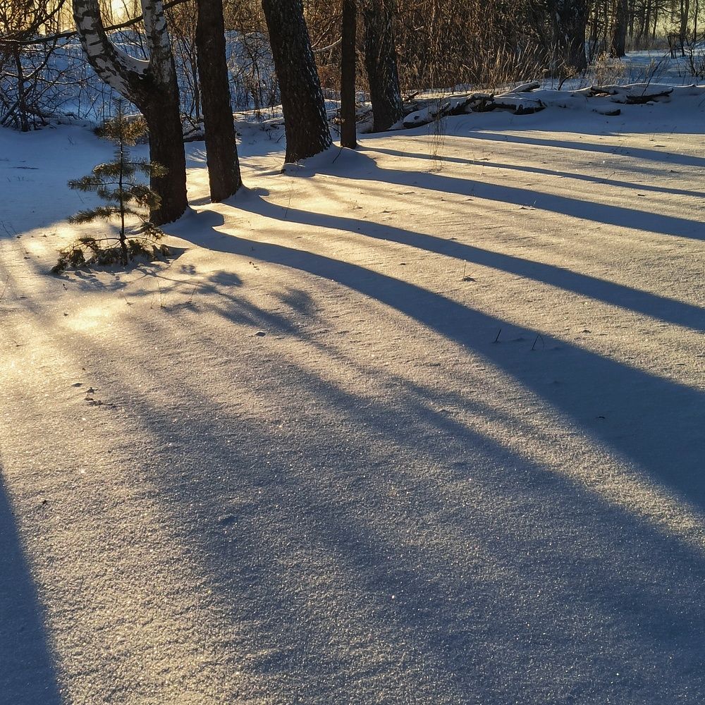 Photograph by Новикова Елена Сергеевна