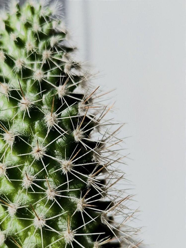 Photograph by Ksenija Bartoško