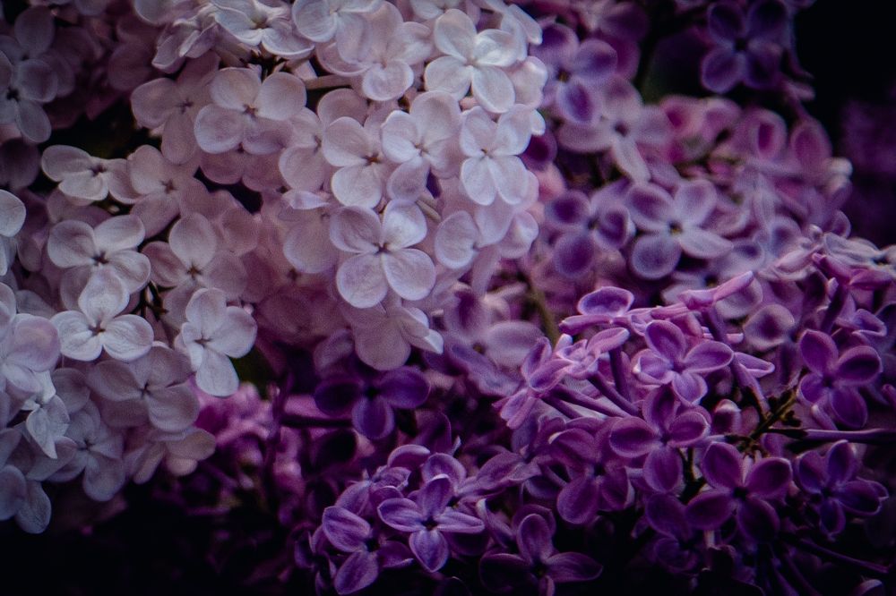 Фотография автора Станислава Гордеева