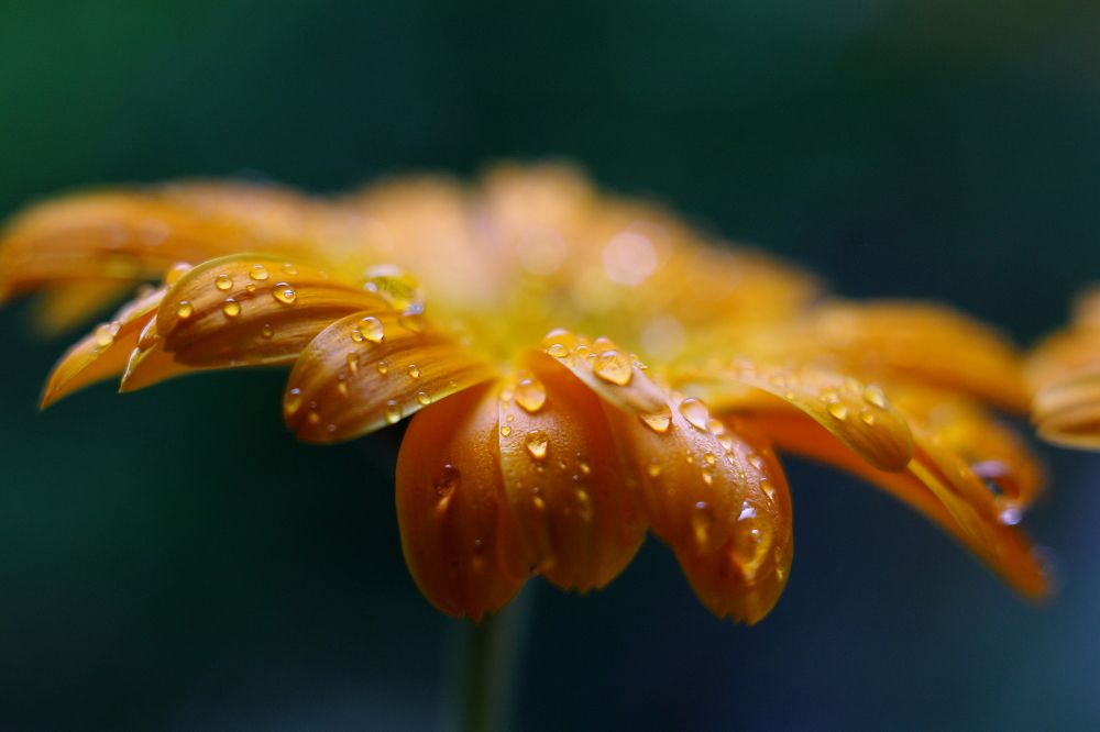 Photograph by Ирина Казакова