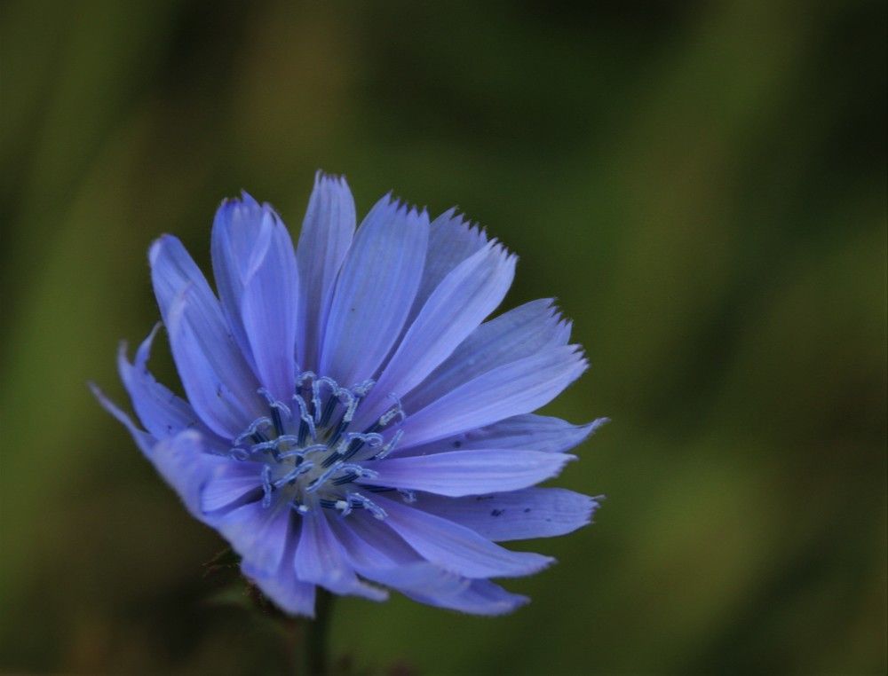 Фотография автора Светлана Терехова