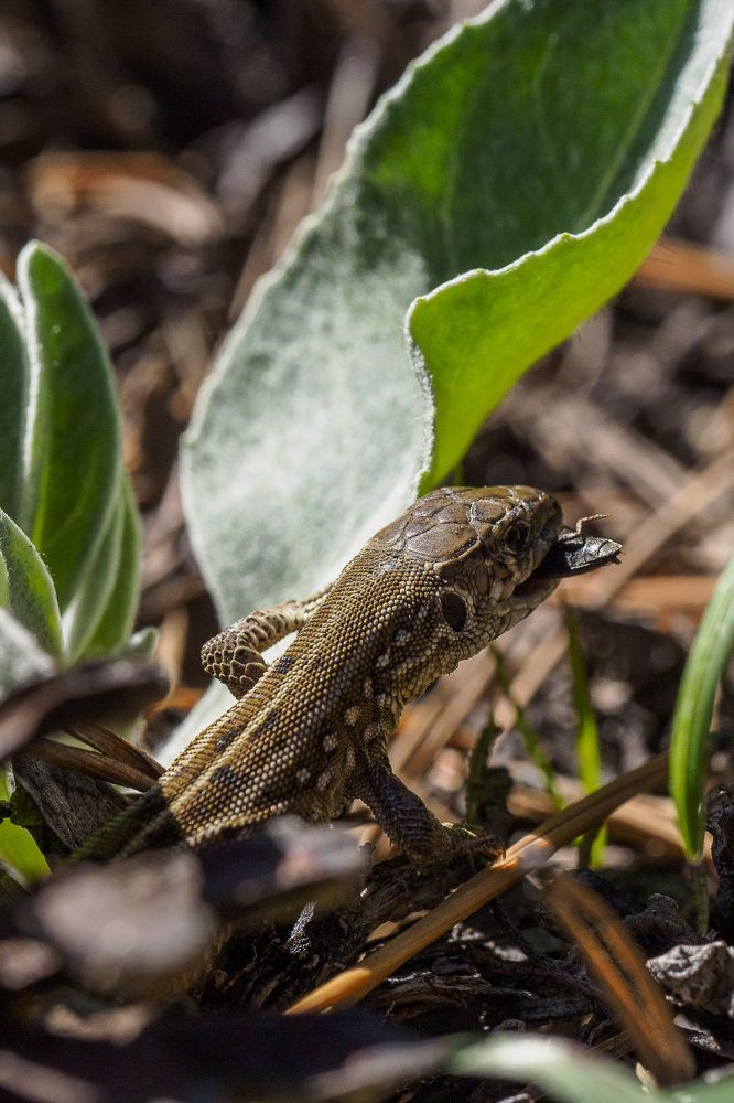 Photograph by Азат Кадиров