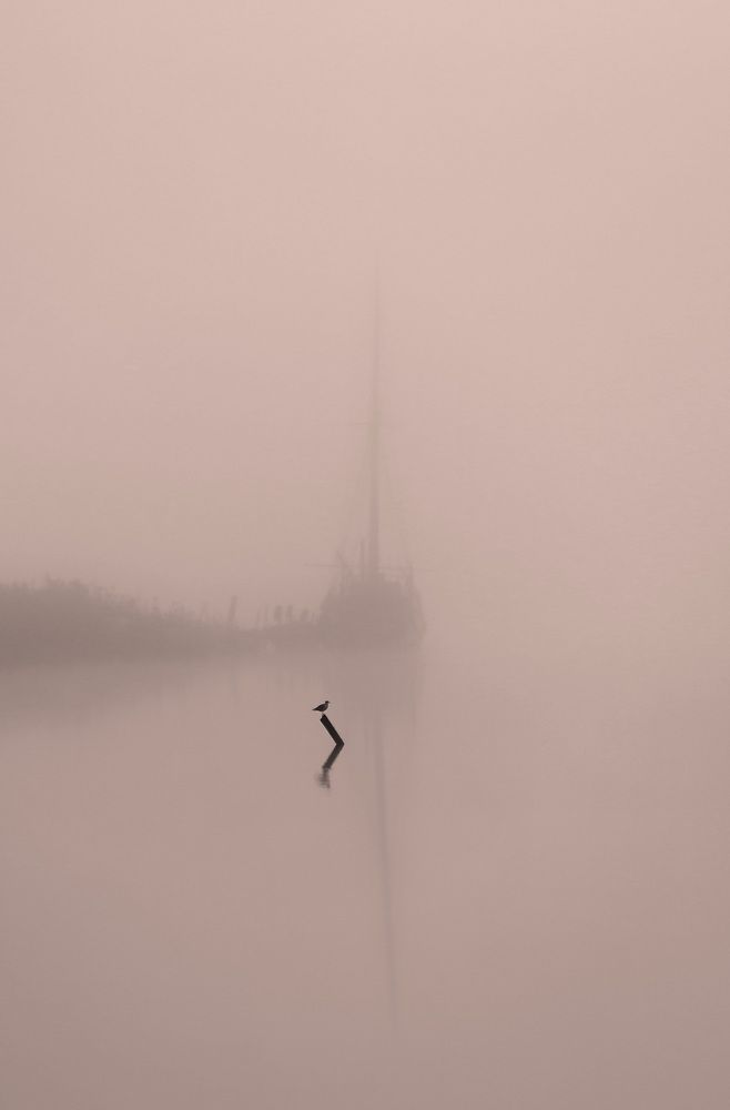 Photograph by Дмитрий Петухов