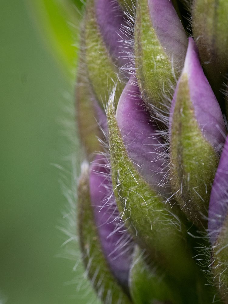 Photograph by Маргарита Ивкова