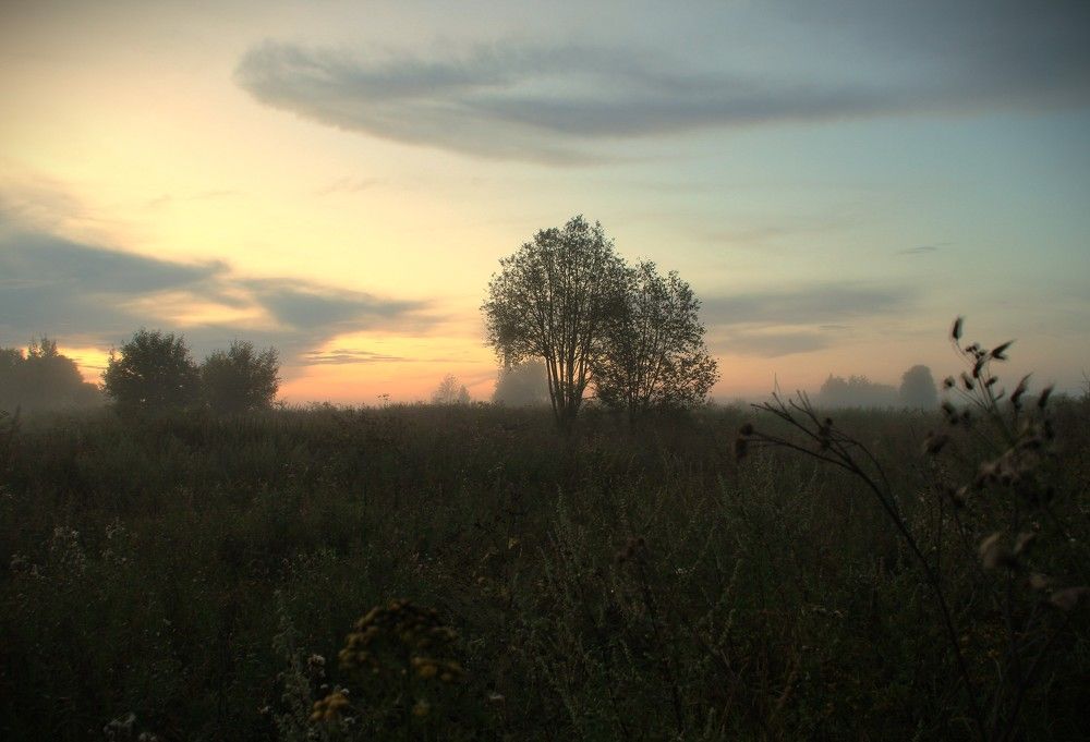 Фотография автора Светлана Терехова
