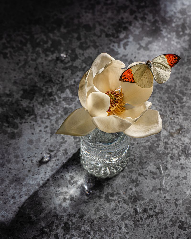 Photograph by Алина Самофеева