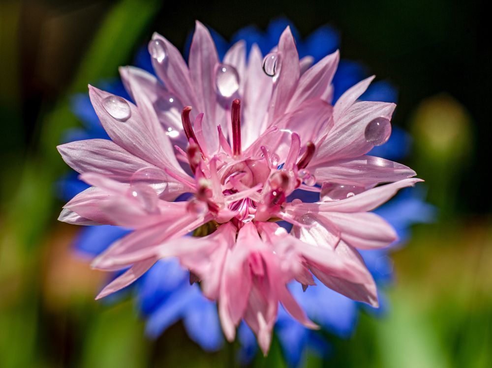 Photograph by Sergey Uskov