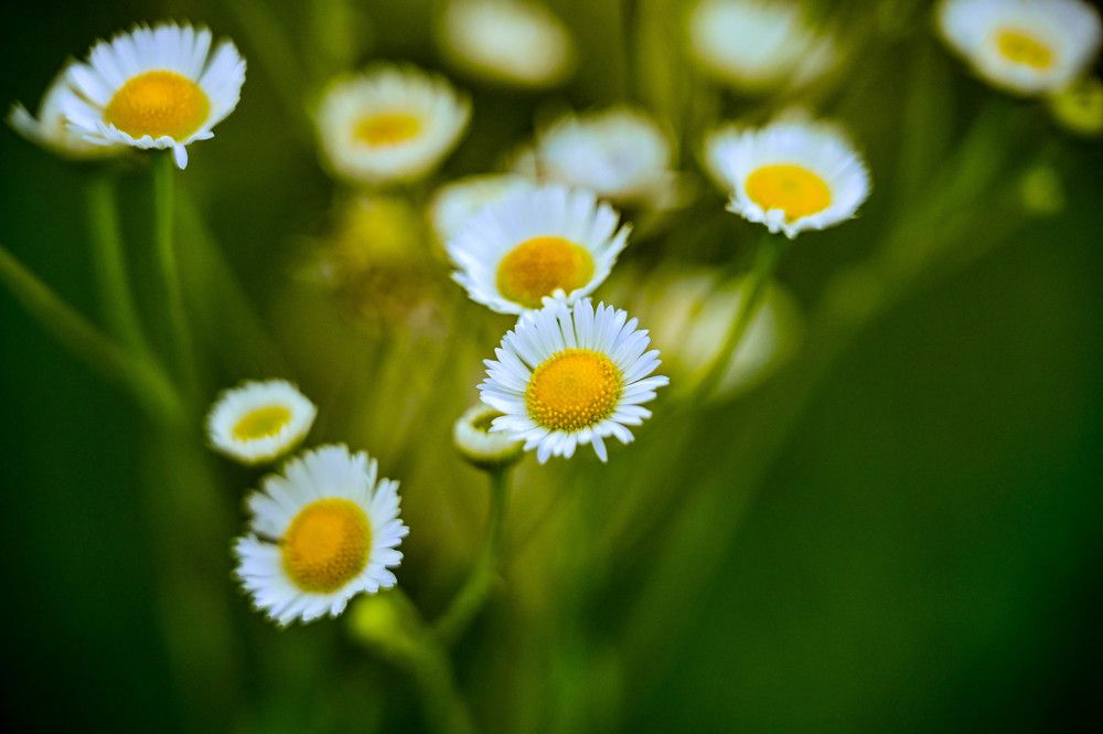 Photograph by Tanzilya Gabidullina