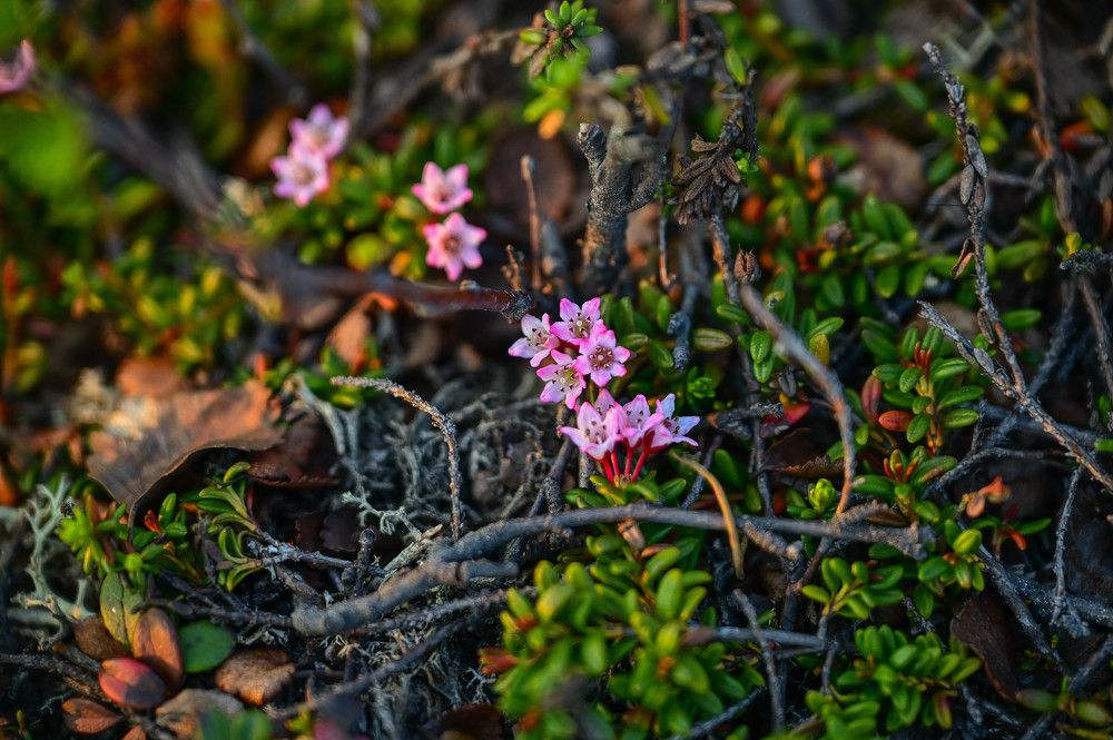 Photograph by Tanzilya Gabidullina